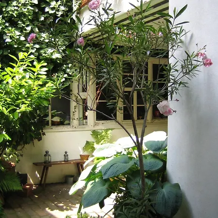 Im Alten Kaufhaus Rhodt unter Rietburg Exterior photo
