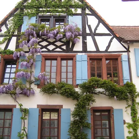 Im Alten Kaufhaus Rhodt unter Rietburg Exterior photo