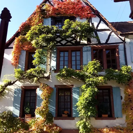 Im Alten Kaufhaus Rhodt unter Rietburg Exterior photo