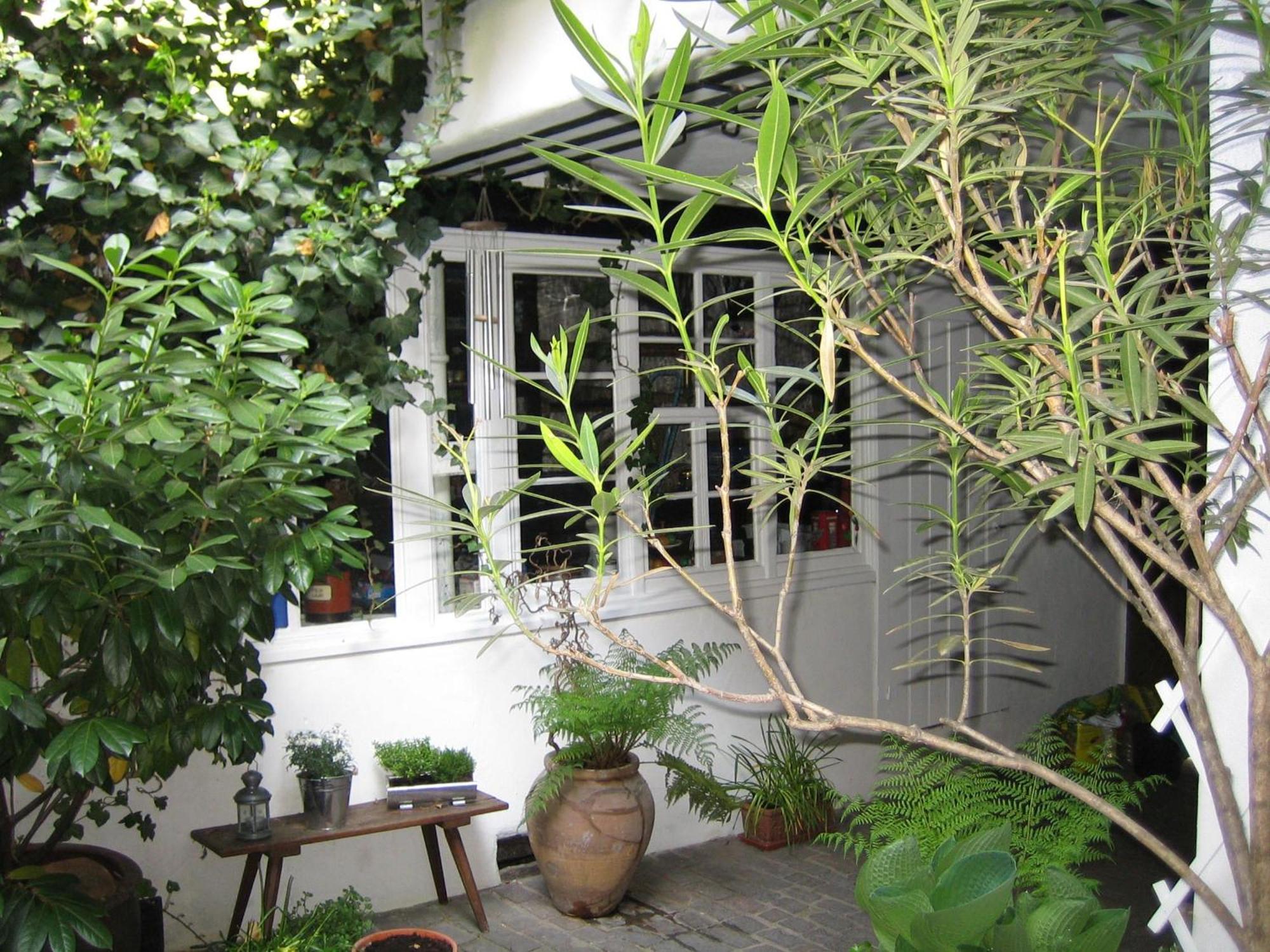 Im Alten Kaufhaus Apartamento *