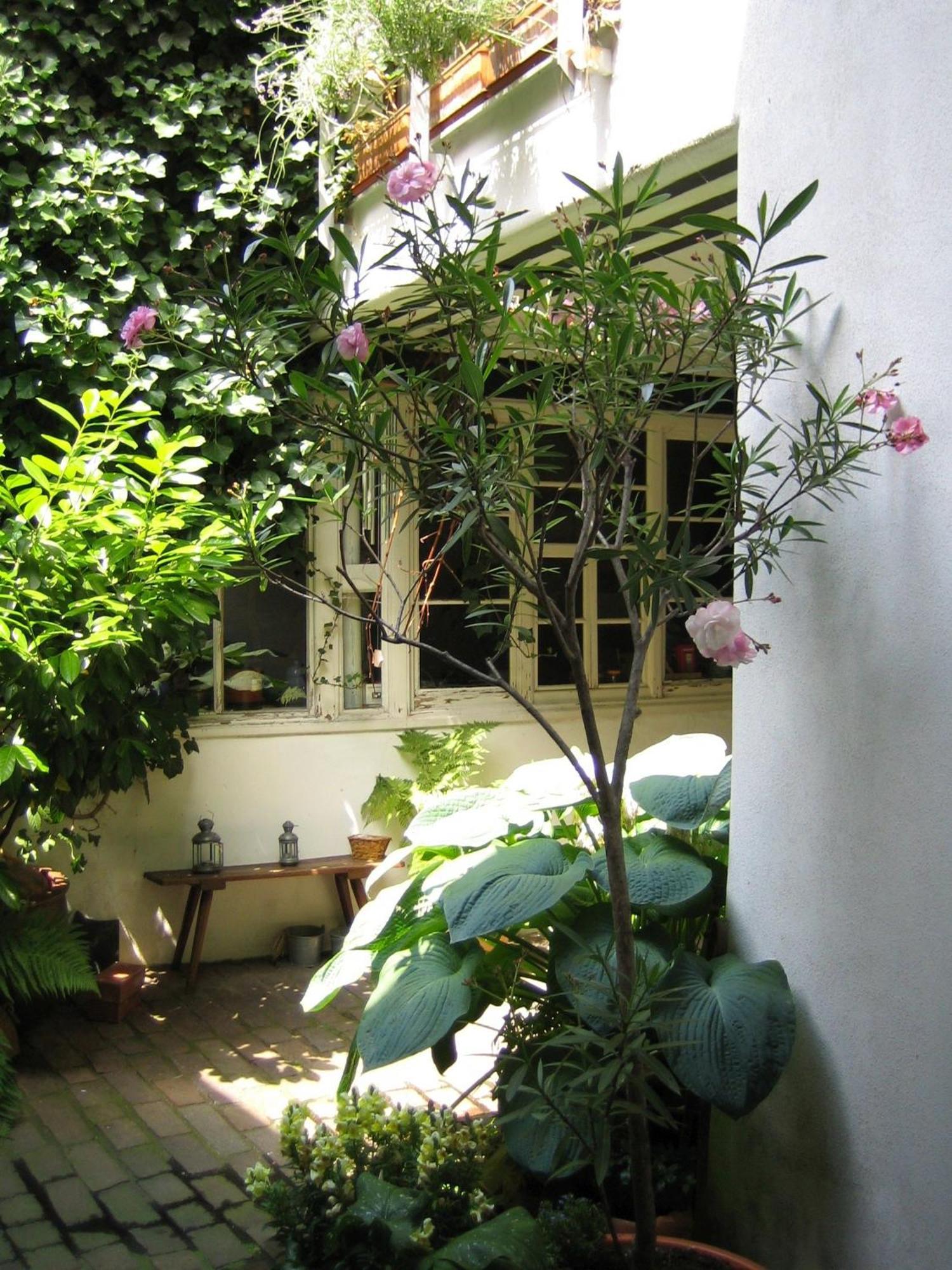 Im Alten Kaufhaus Rhodt unter Rietburg