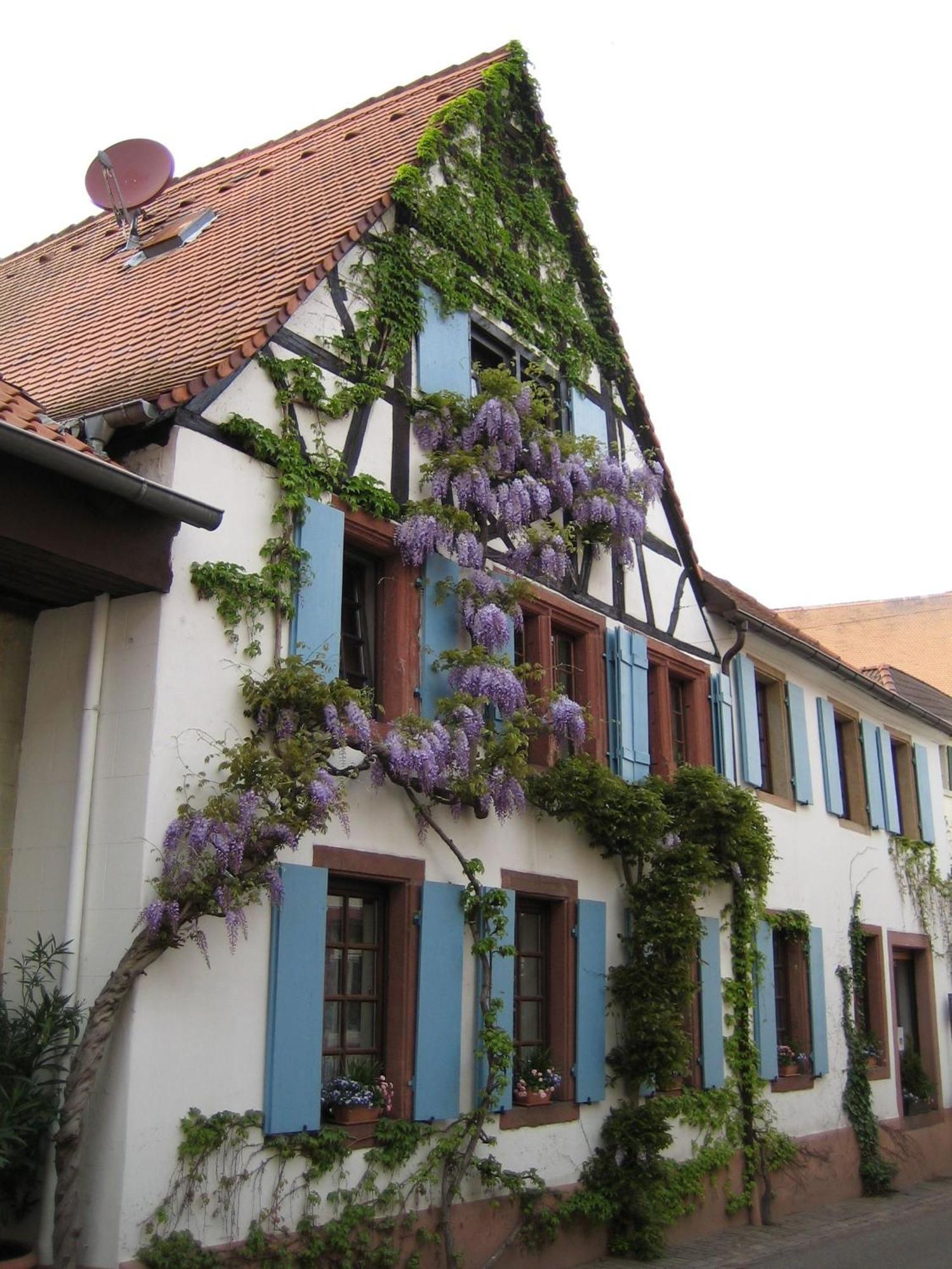 Im Alten Kaufhaus Rhodt unter Rietburg