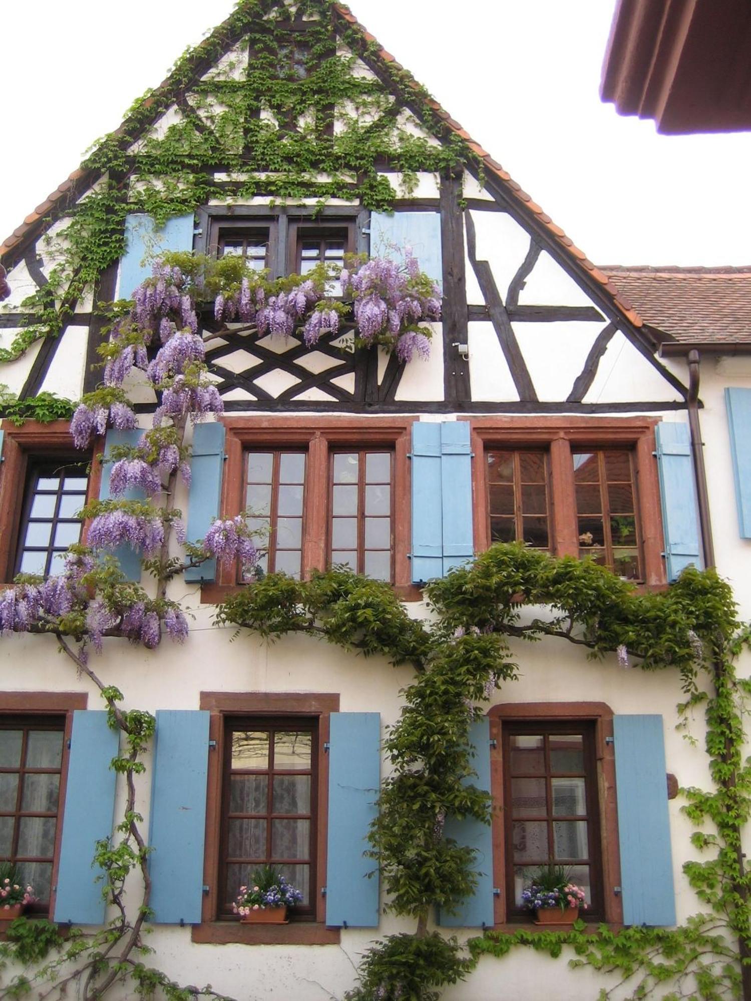 Im Alten Kaufhaus *