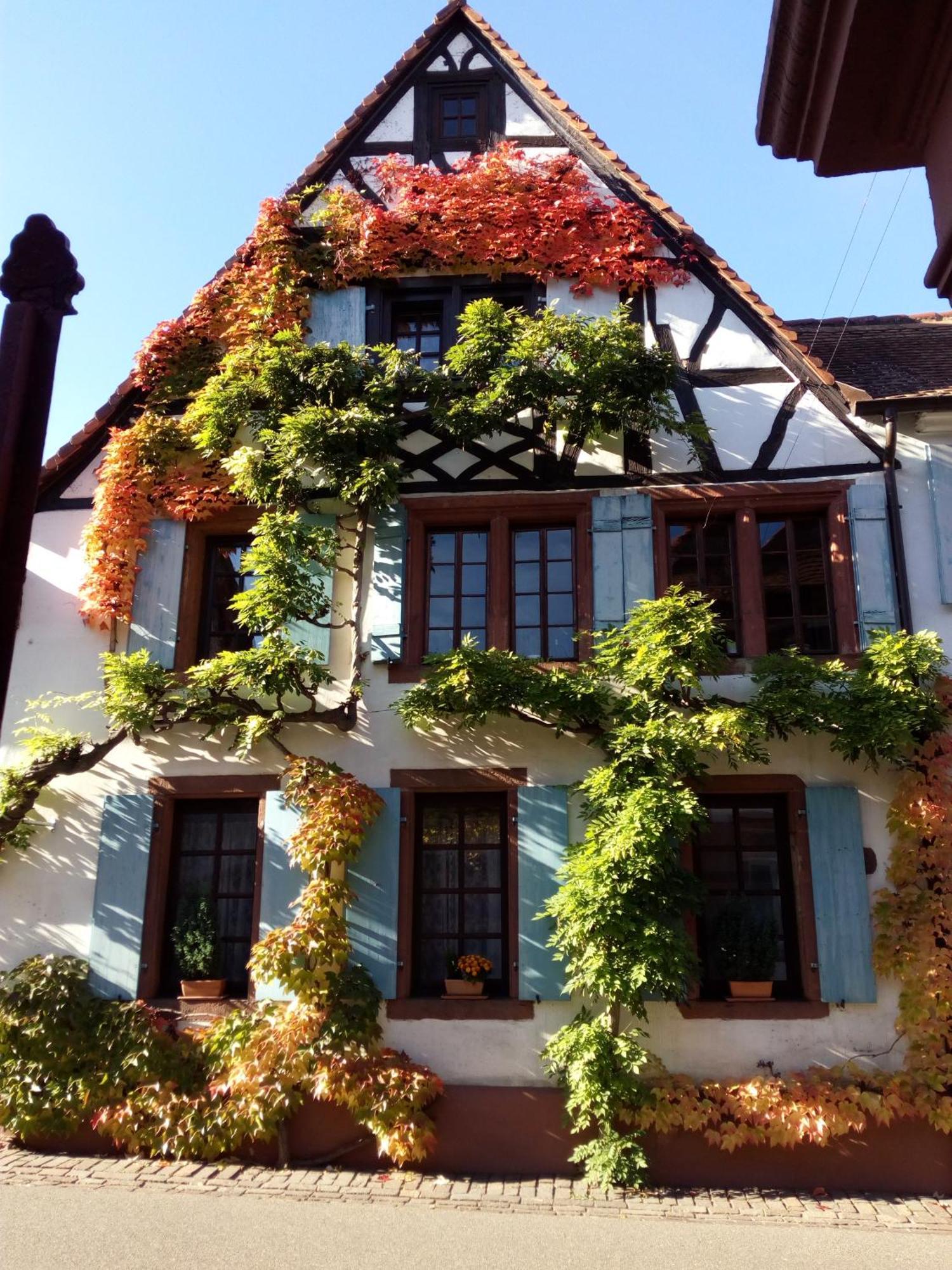 Im Alten Kaufhaus *